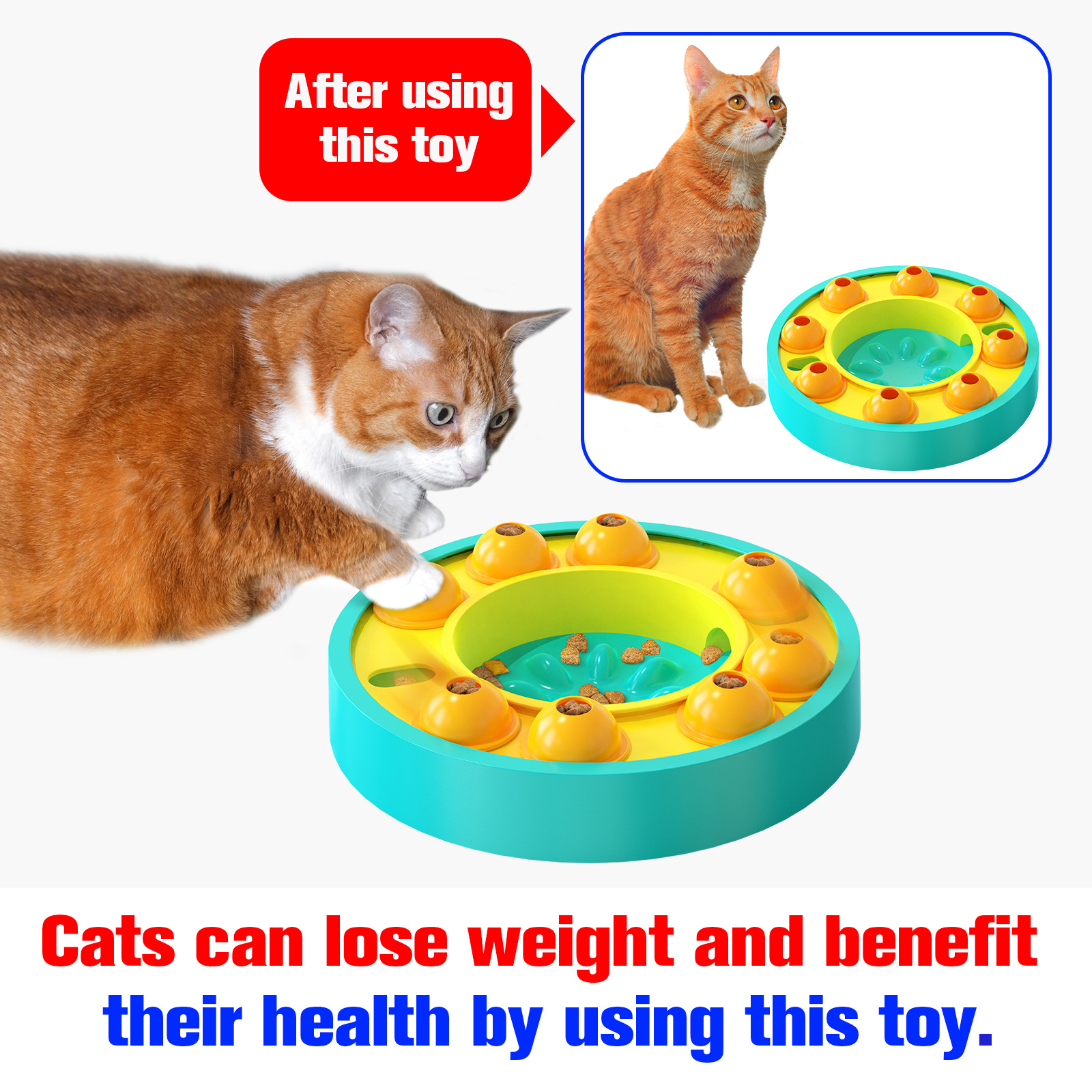 Enrichment Toys-Pet Products