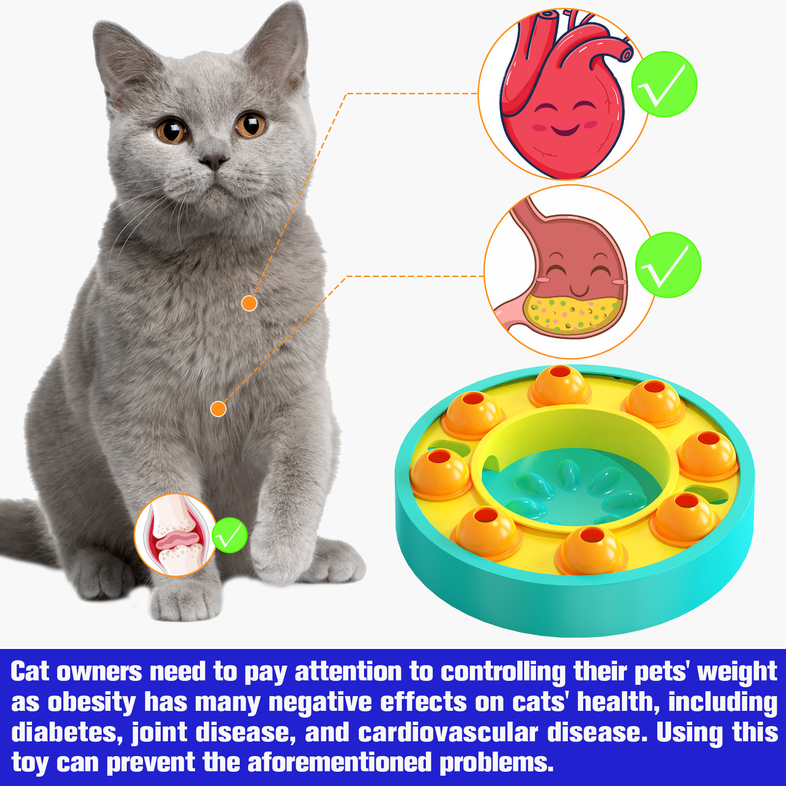 Enrichment Toys-Pet Products