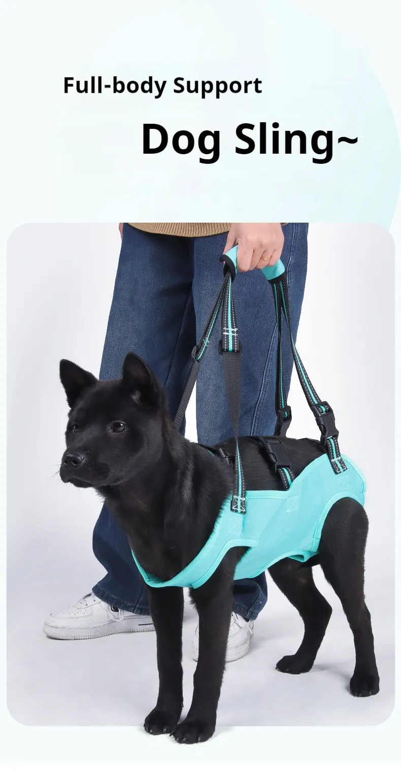 Auxiliary Lifting Strap-Pet Products