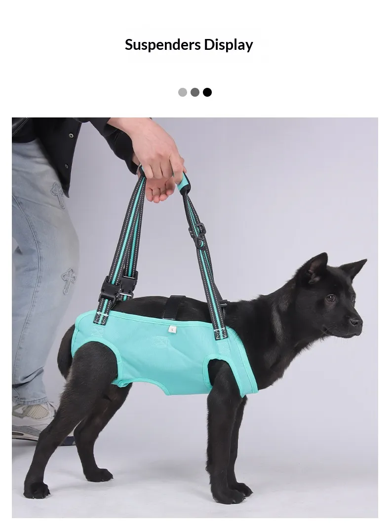 Auxiliary Lifting Strap-Pet Products