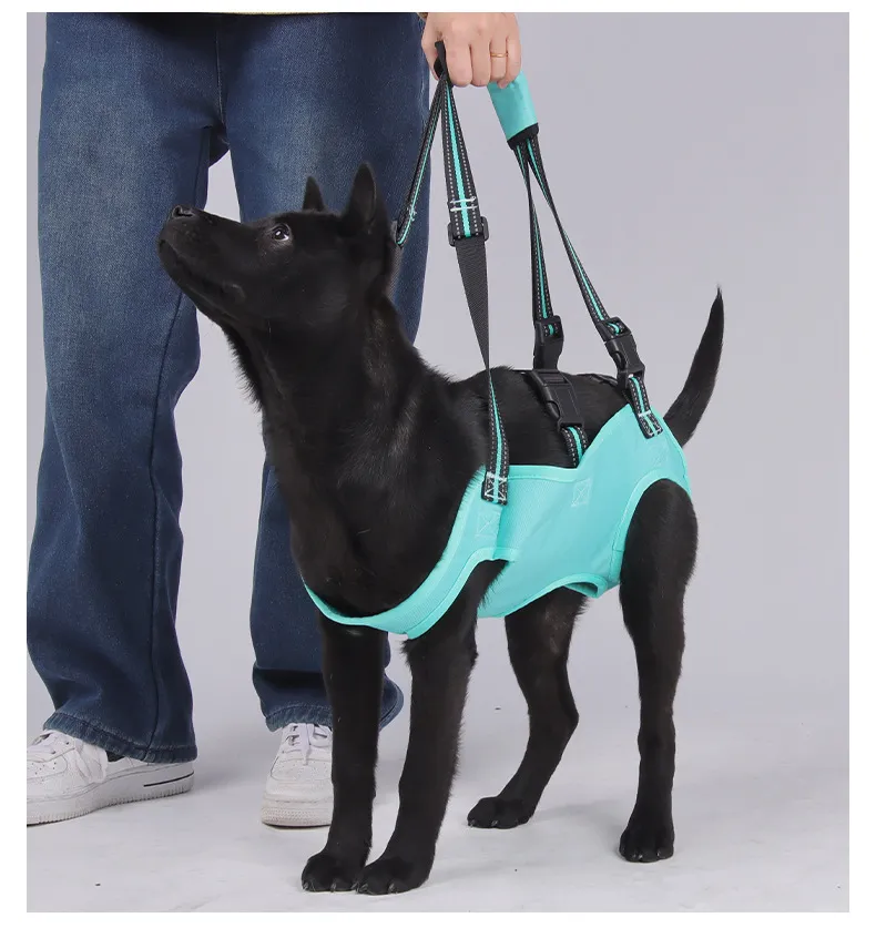 Auxiliary Lifting Strap-Pet Products
