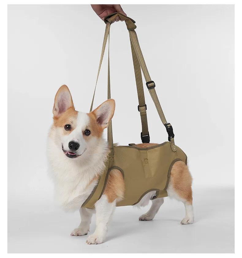 Auxiliary Lifting Strap-Pet Products