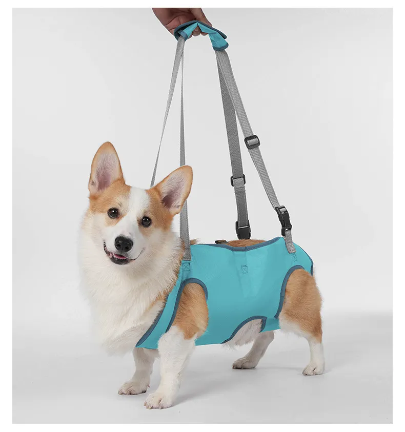 Auxiliary Lifting Strap-Pet Products