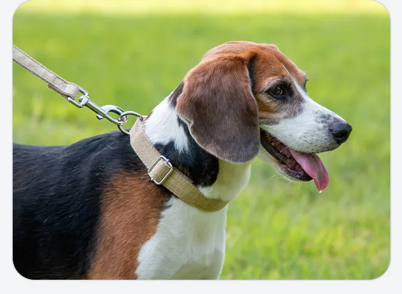 Cotton&Linen Collars-Pet Products