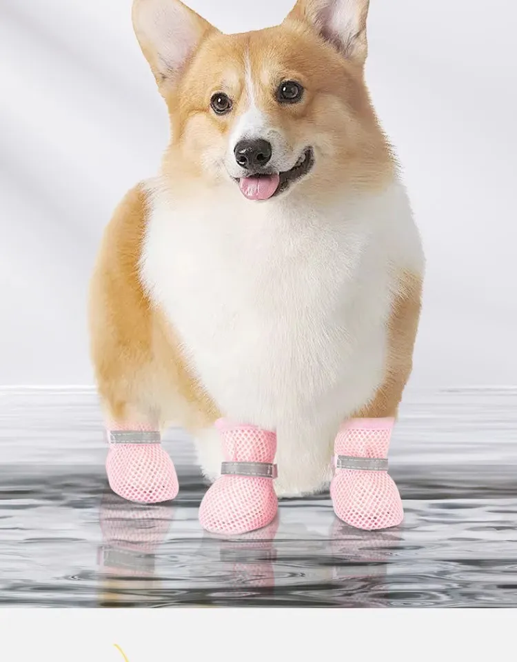 Puppy Shoes-Pet Products