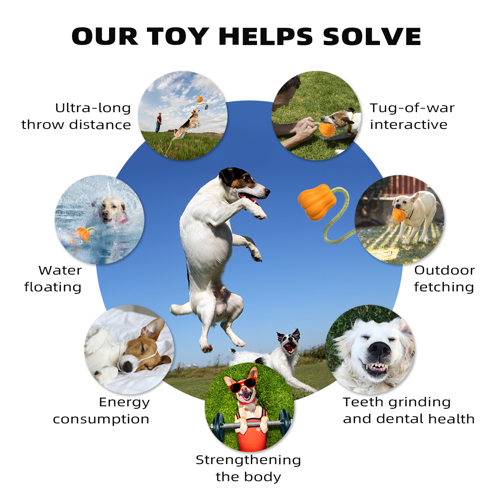 Interactive Toys-Pet Products