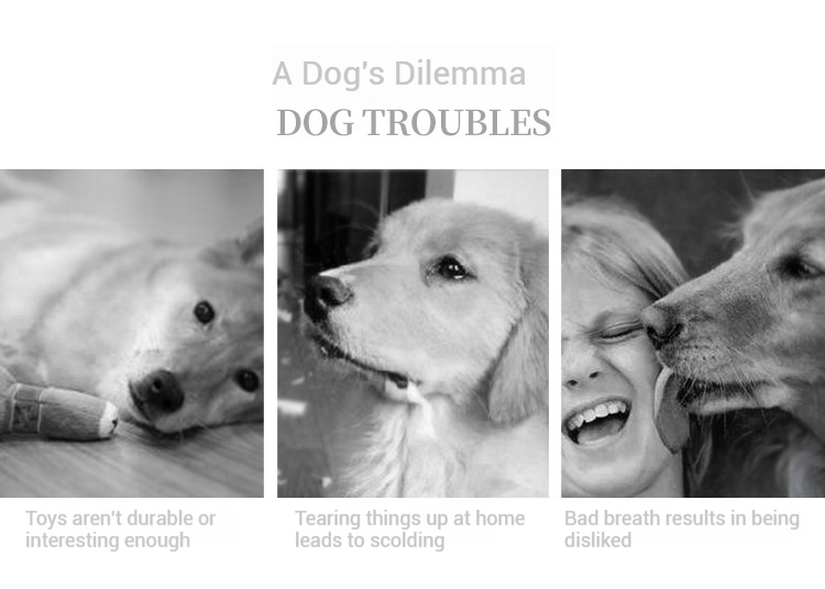 Squeaky Toys-Pet Products