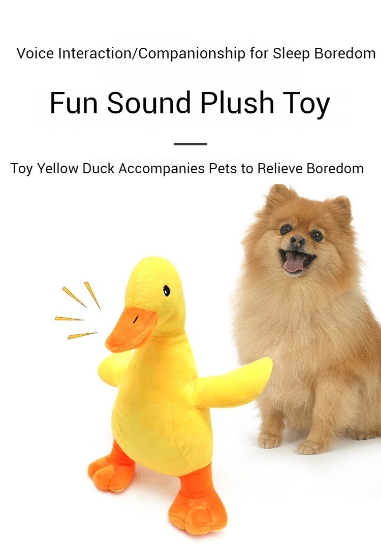 Squeaky Toys-Pet Products