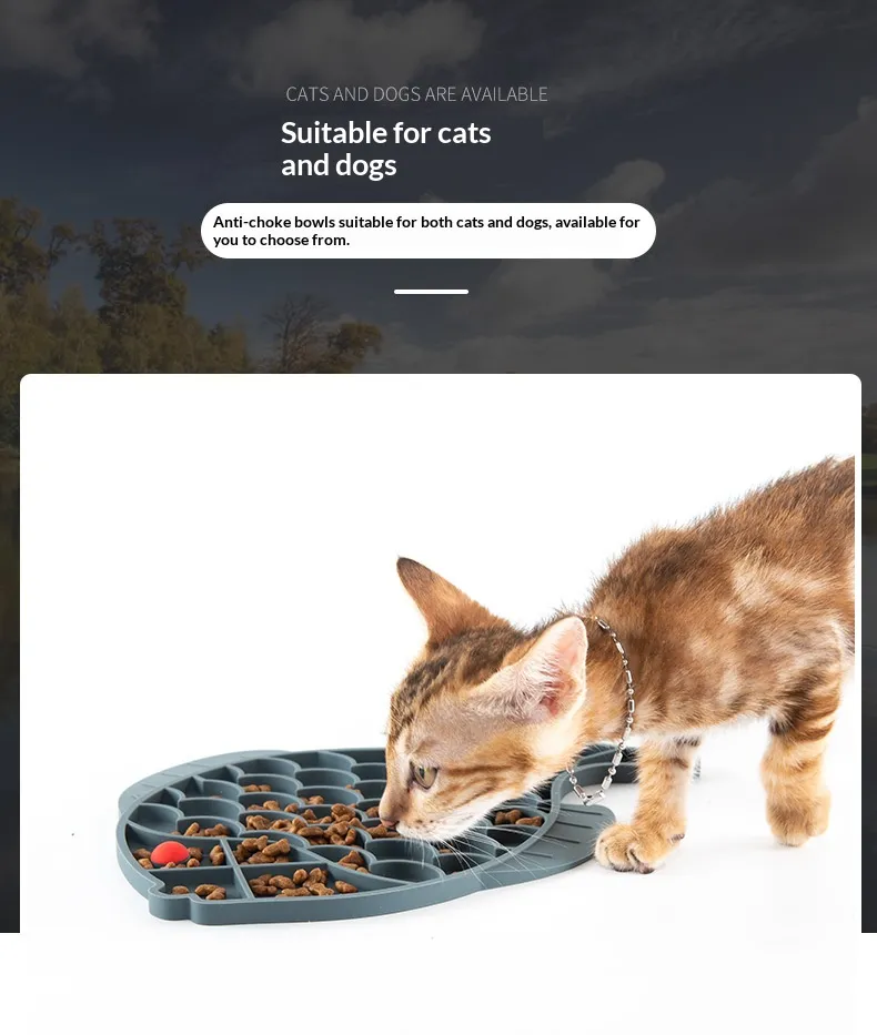 Lick Tray-Pet Products