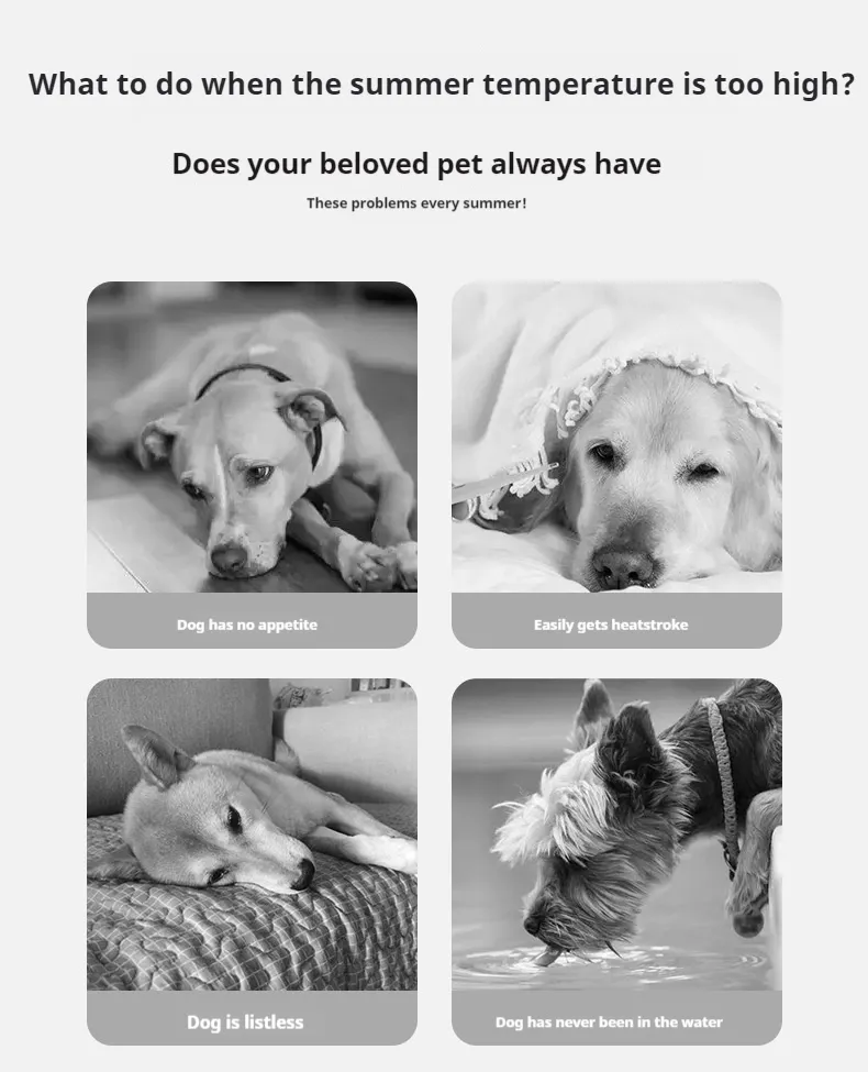 Life Jackets-Pet Products