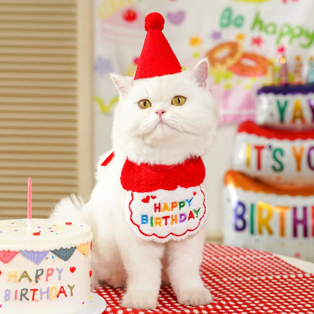 Birthday Decoration-Pet Products
