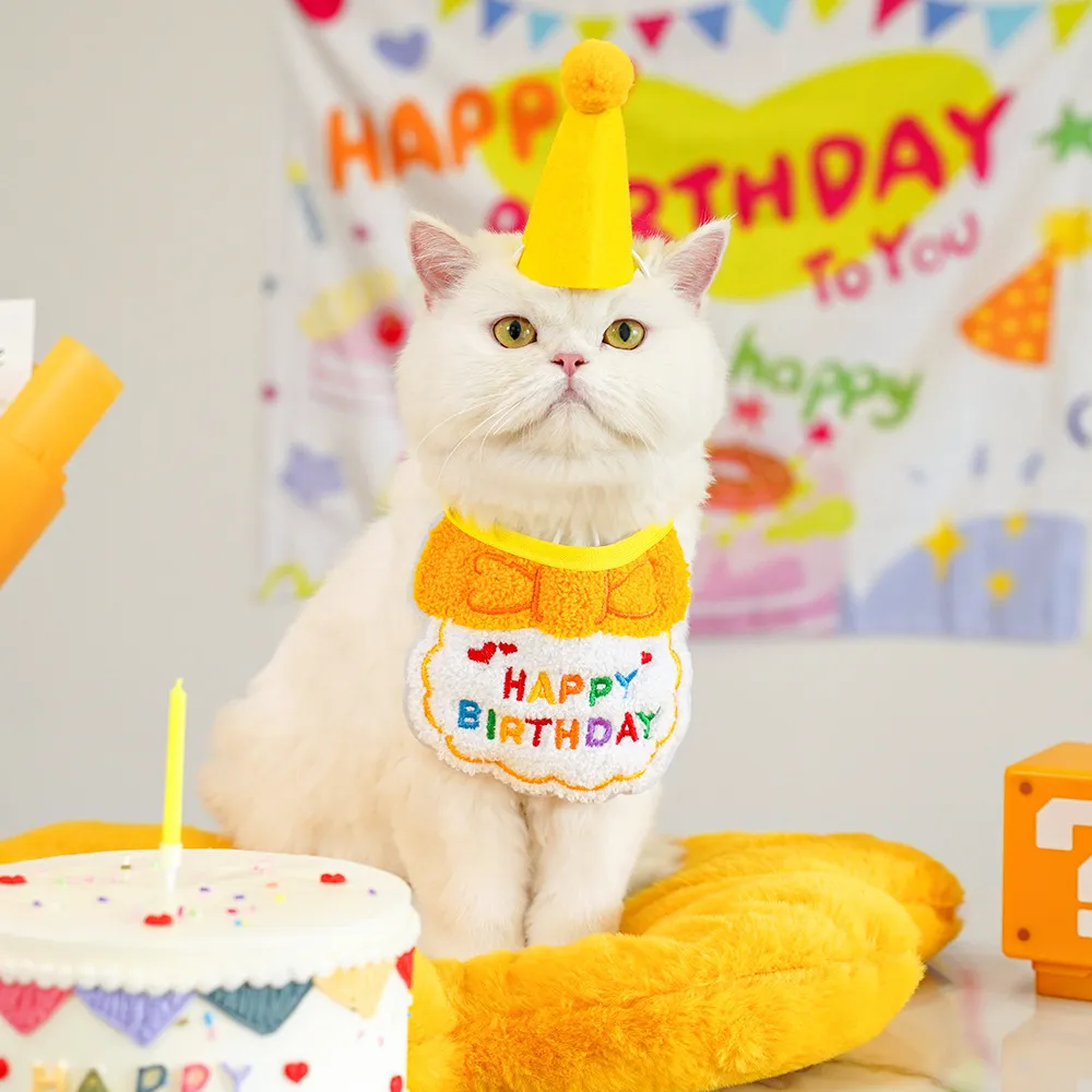 Birthday Decoration-Pet Products