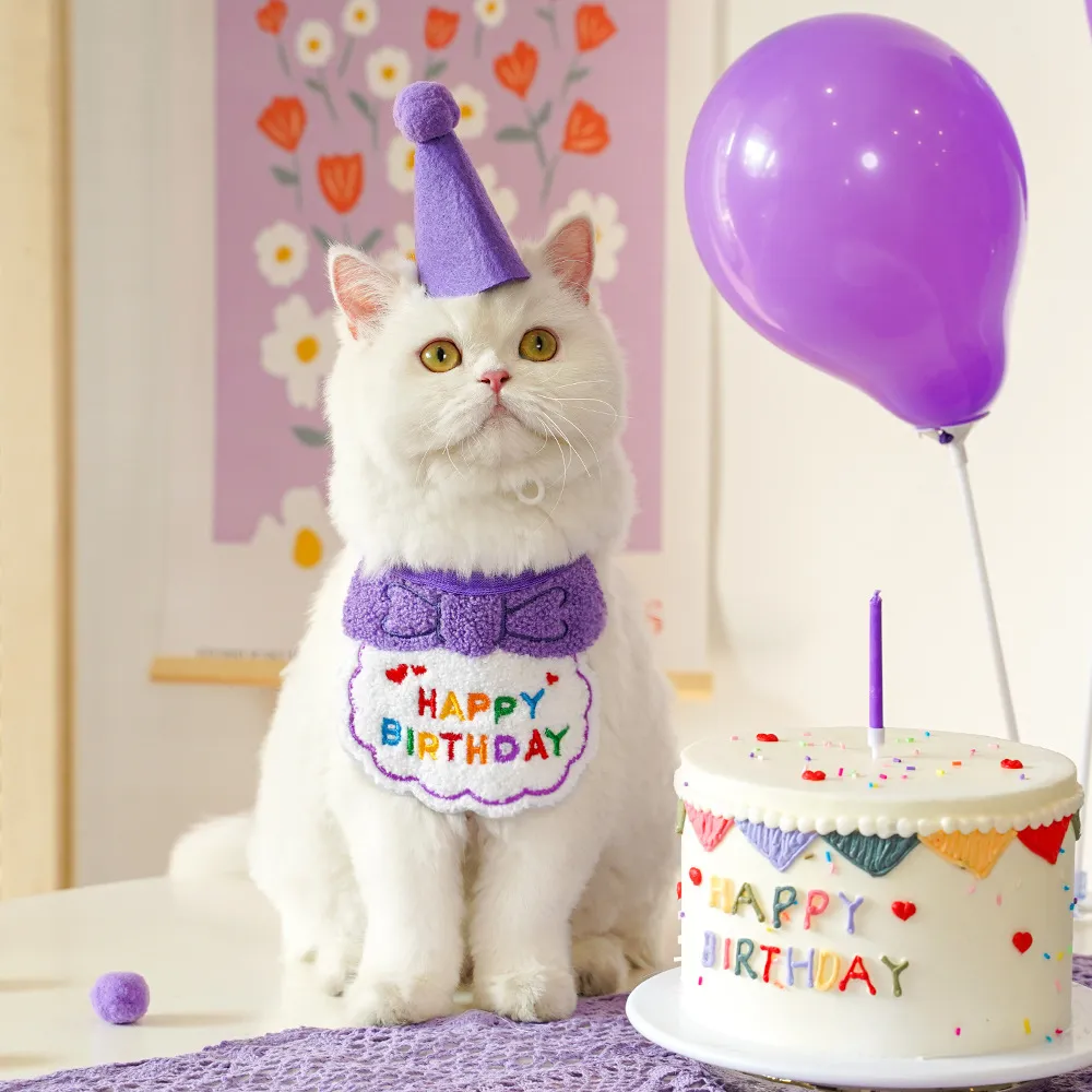 Birthday Decoration-Pet Products