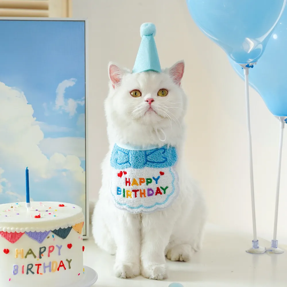 Birthday Decoration-Pet Products