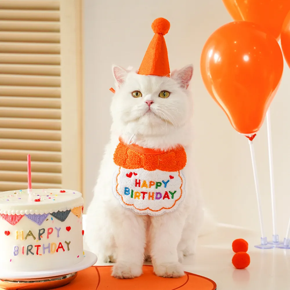 Birthday Decoration-Pet Products