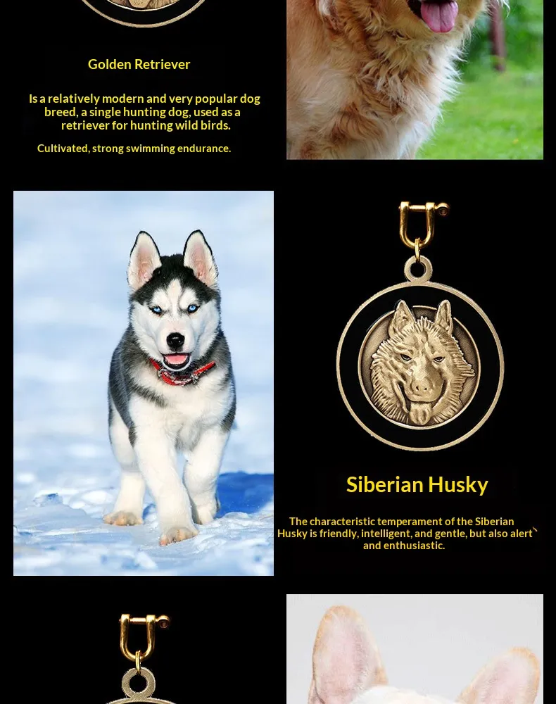 ID Tag-Pet Products