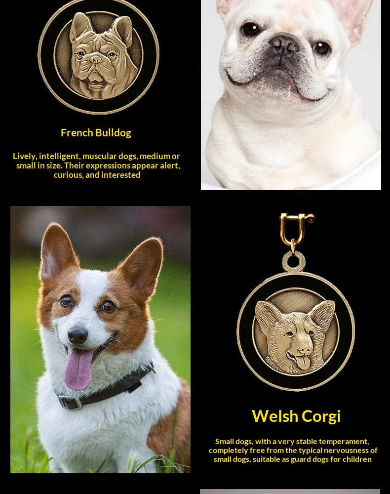 ID Tag-Pet Products