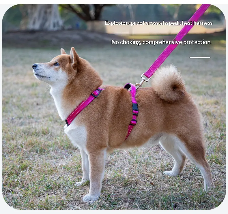 Reflective Collars-Pet Products