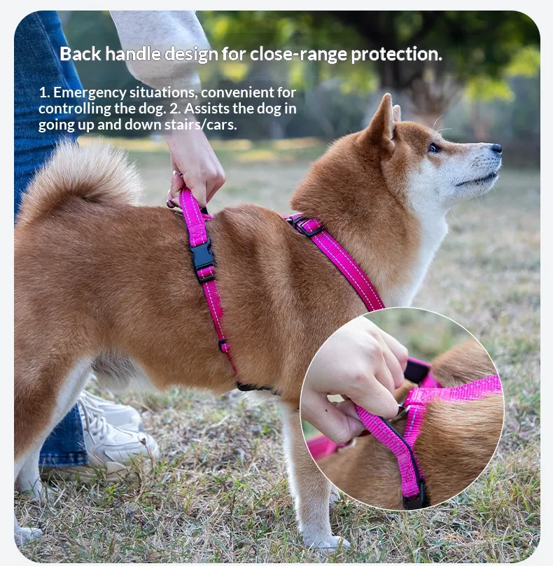Reflective Collars-Pet Products