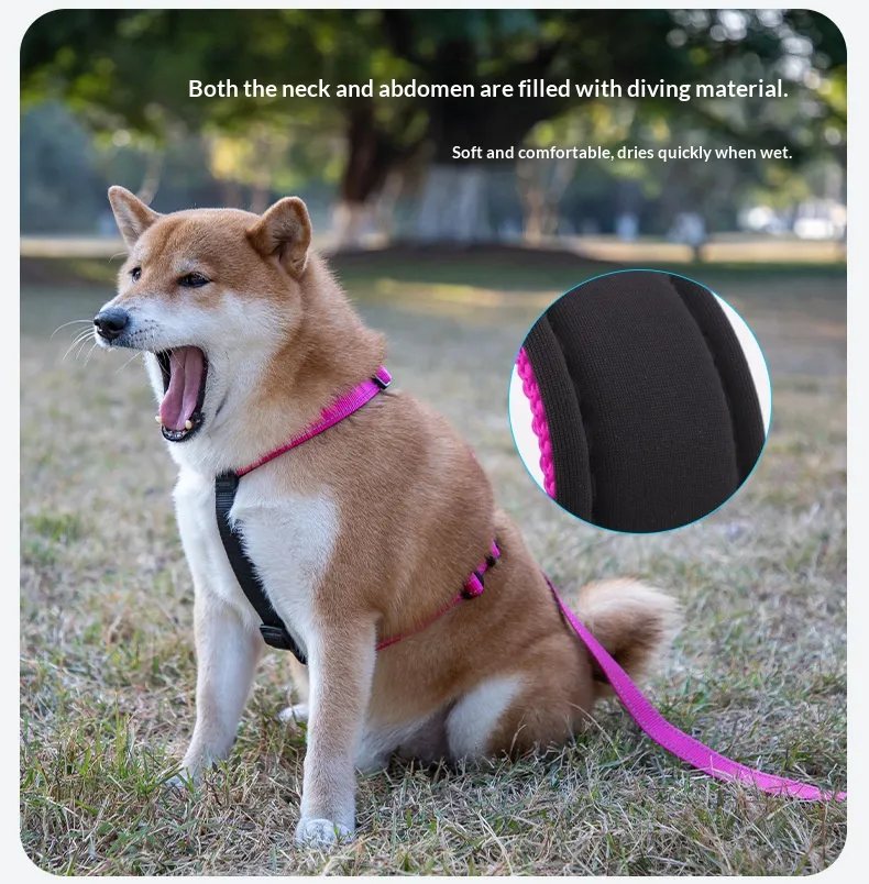 Reflective Collars-Pet Products