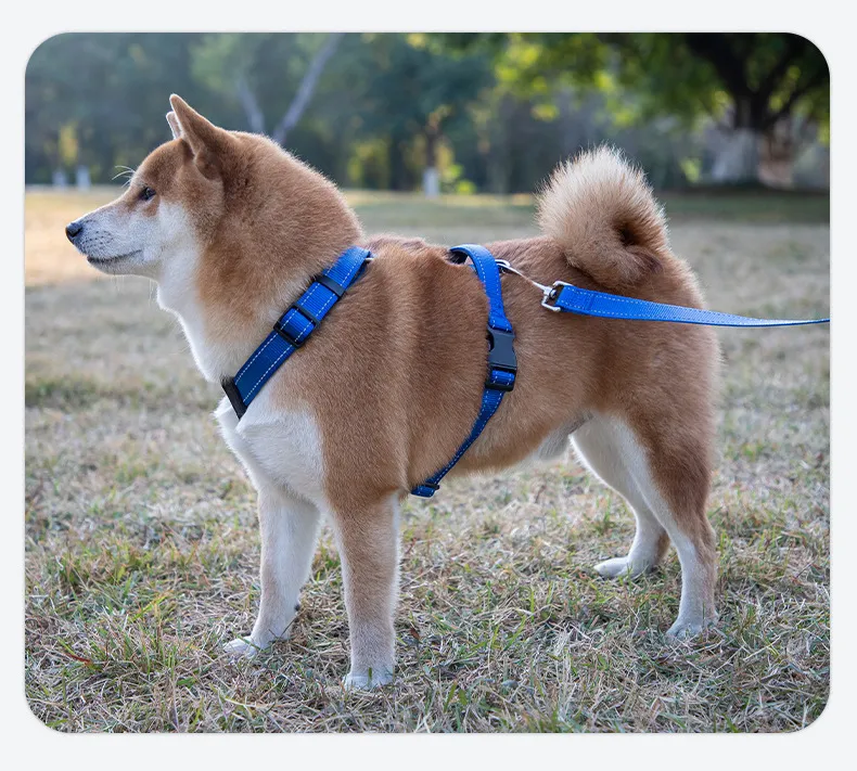Reflective Collars-Pet Products