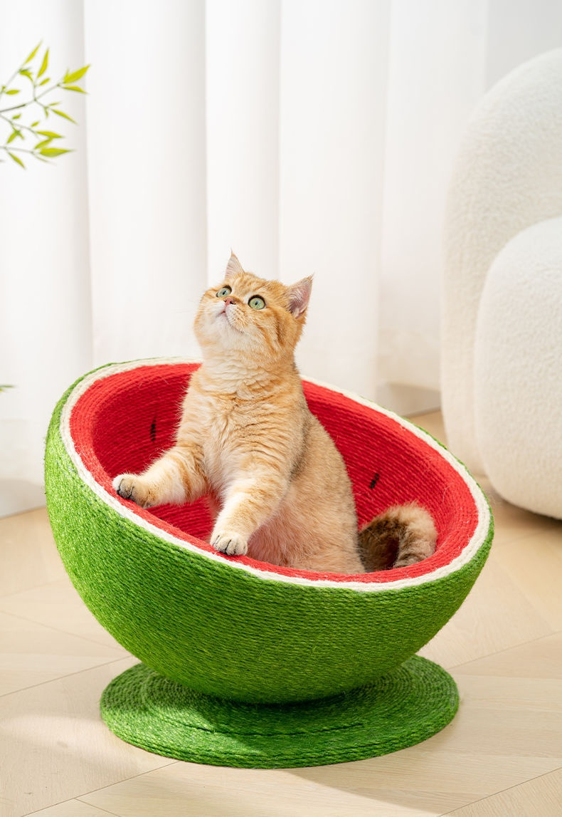 Watermelon Nest-Pet Products