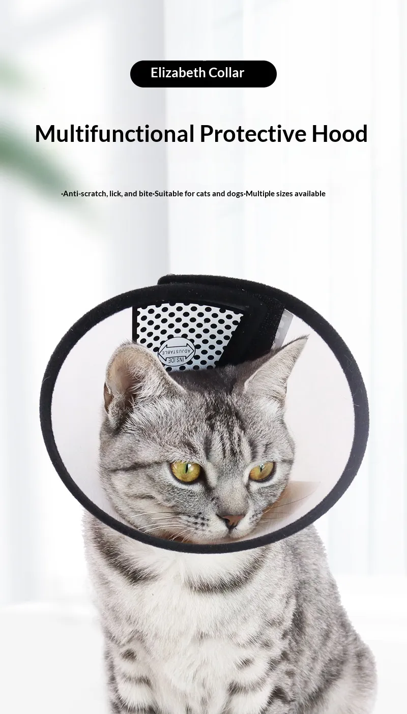 Elizabeth Collar-Pet Products