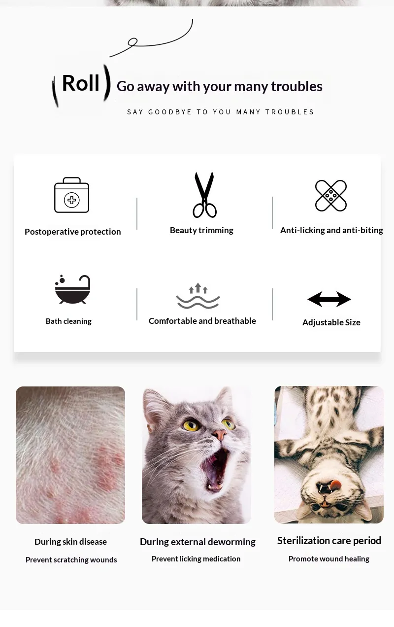 Elizabeth Collar-Pet Products