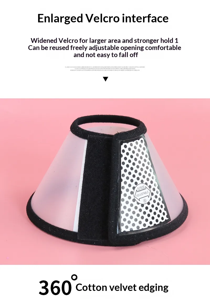 Elizabeth Collar-Pet Products