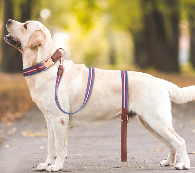 Buckle Collars-Pet Products