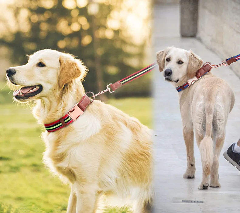 Buckle Collars-Pet Products