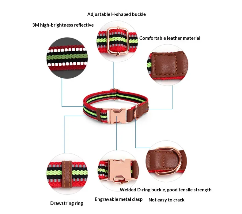 Buckle Collars-Pet Products