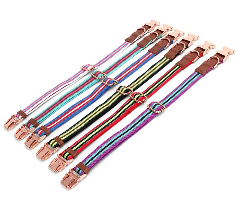 Buckle Collars-Pet Products