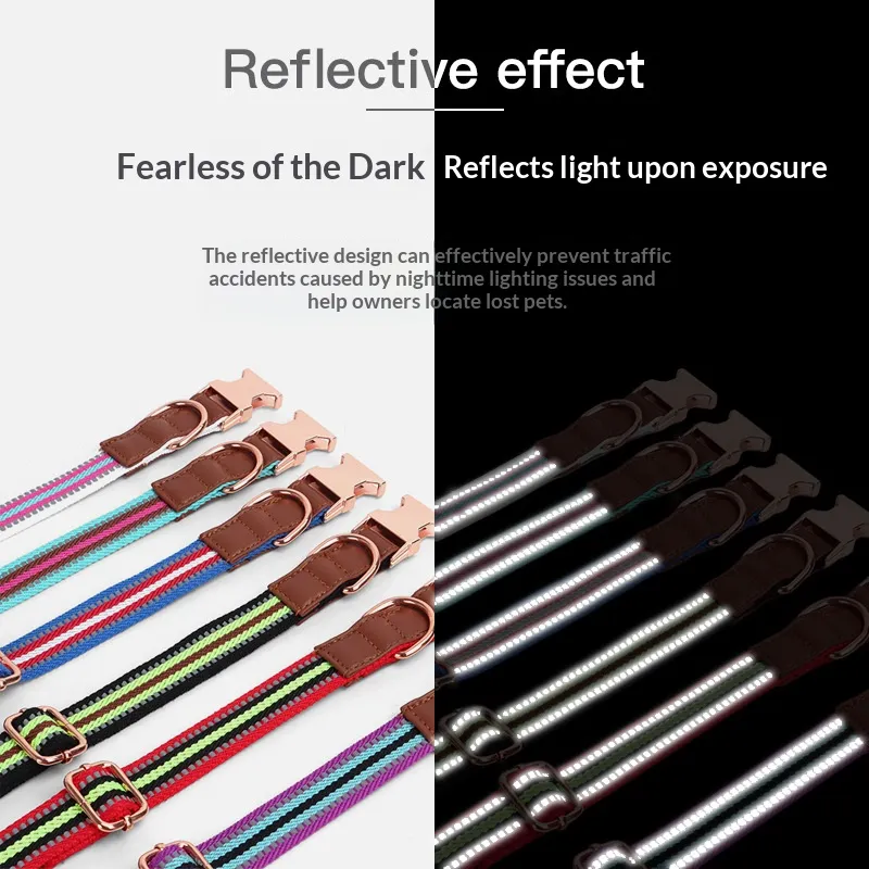 Buckle Collars-Pet Products