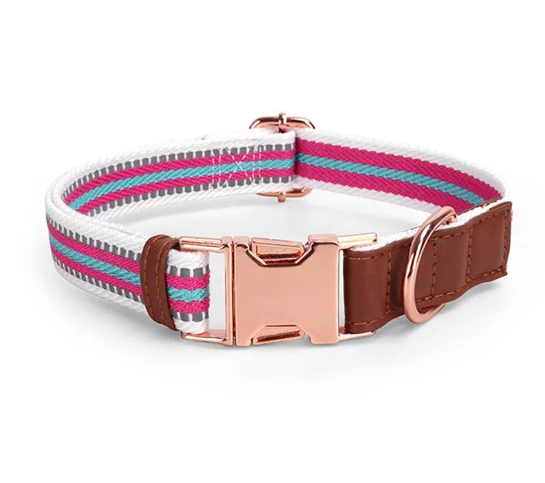 Buckle Collars-Pet Products