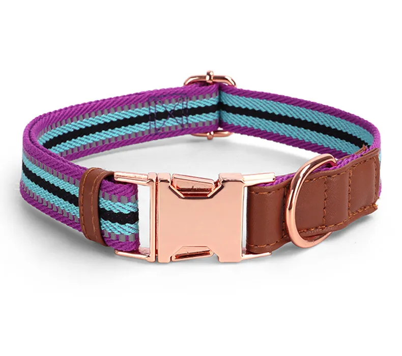 Buckle Collars-Pet Products