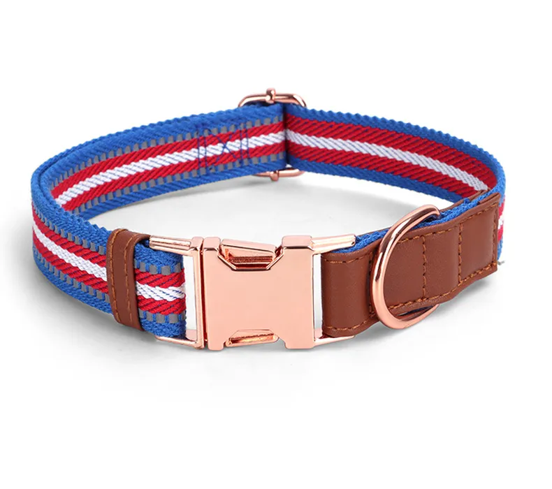 Buckle Collars-Pet Products