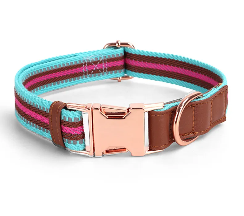 Buckle Collars-Pet Products