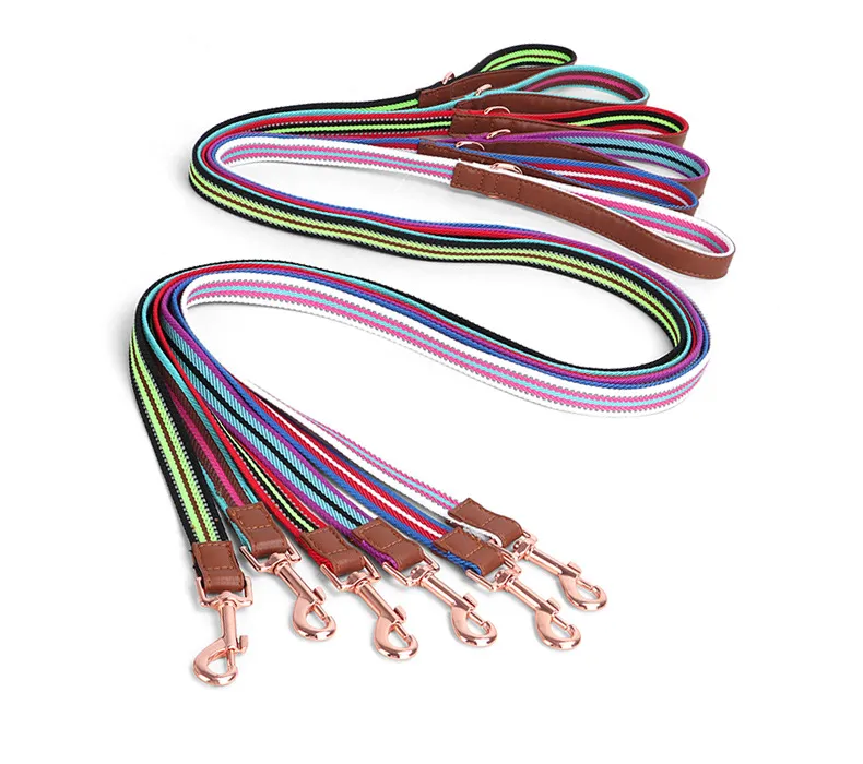 Buckle Collars-Pet Products