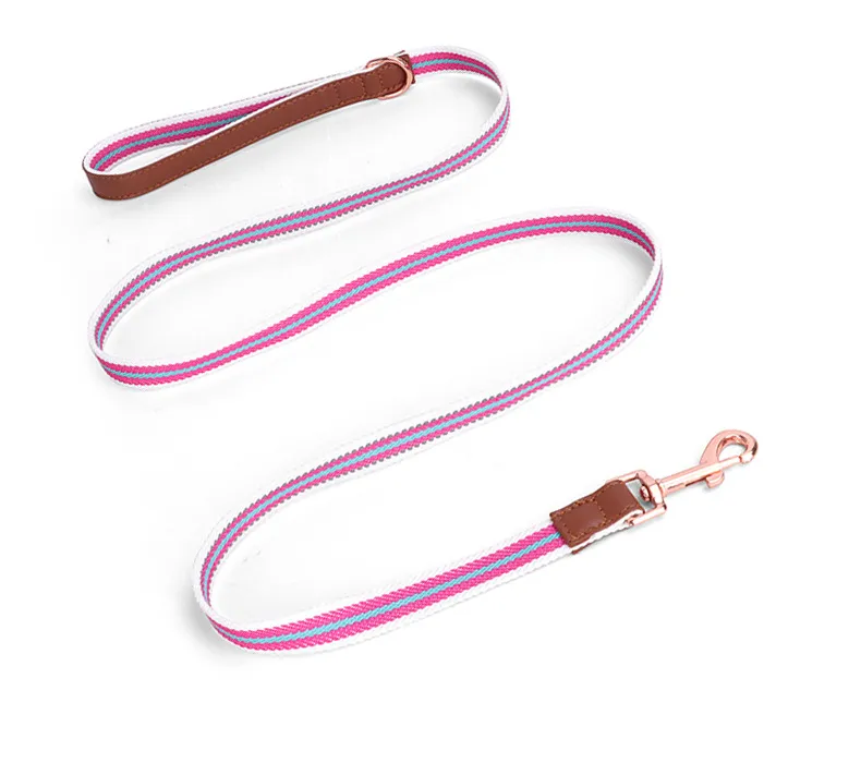Buckle Collars-Pet Products