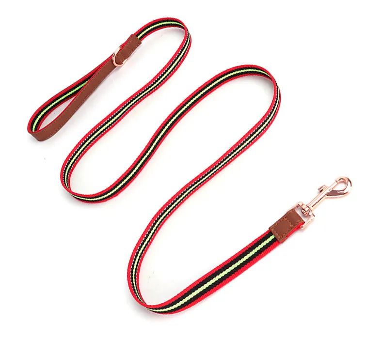 Buckle Collars-Pet Products