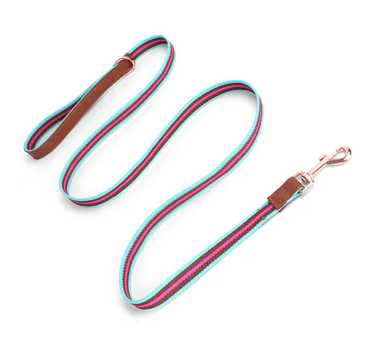 Buckle Collars-Pet Products