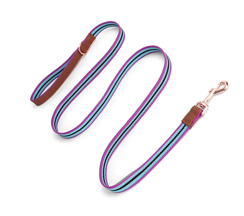 Buckle Collars-Pet Products