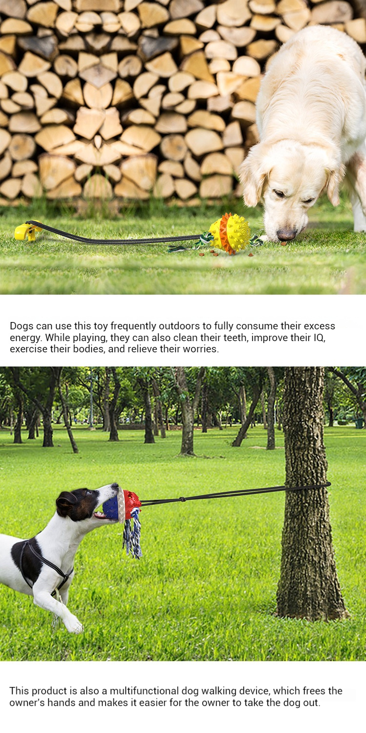 Chew Toys-Pet Products