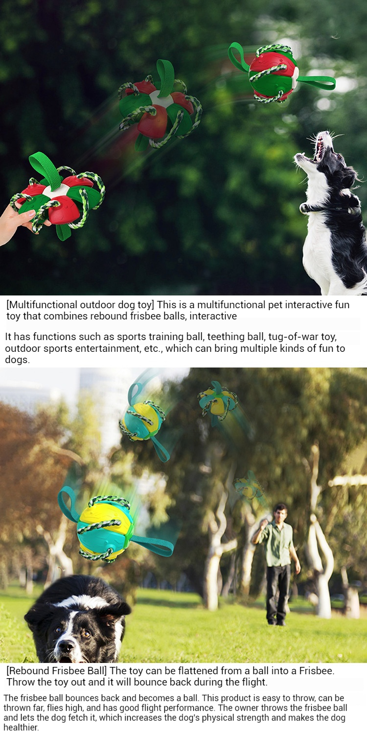 Training Toys-Pet Products