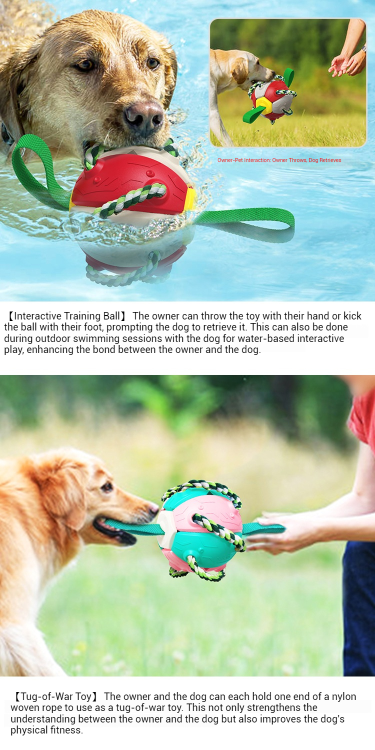 Training Toys-Pet Products