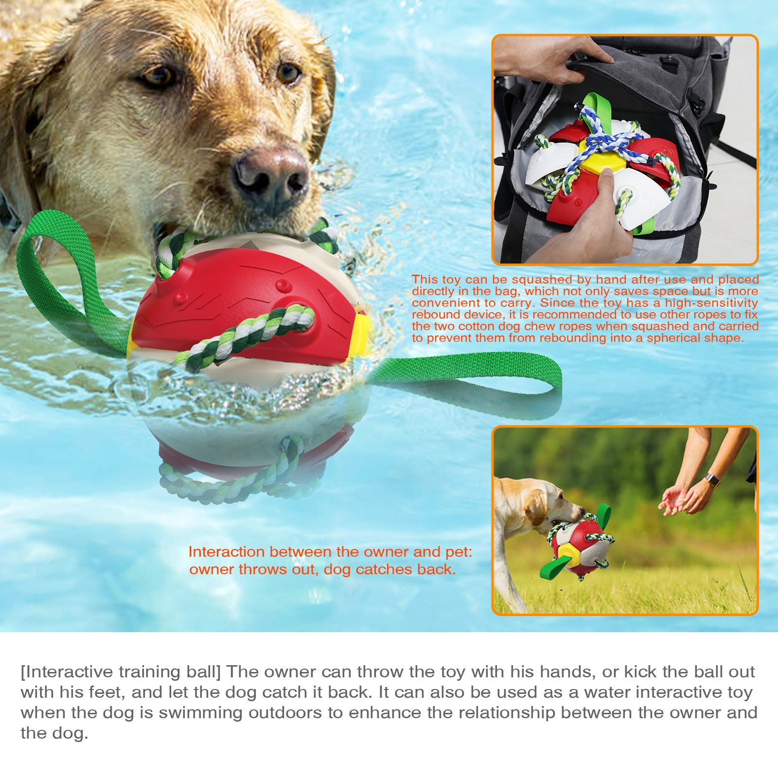 Training Toys-Pet Products
