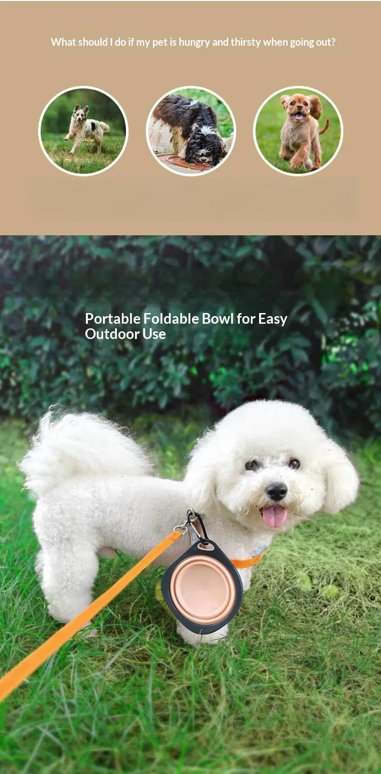 Folding Bowl-Pet Products