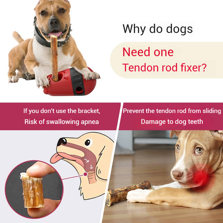 Enrichment Toys-Pet Products