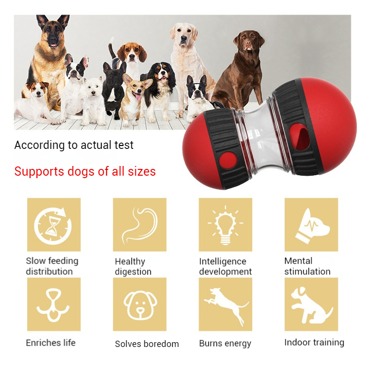 Enrichment Toys-Pet Products